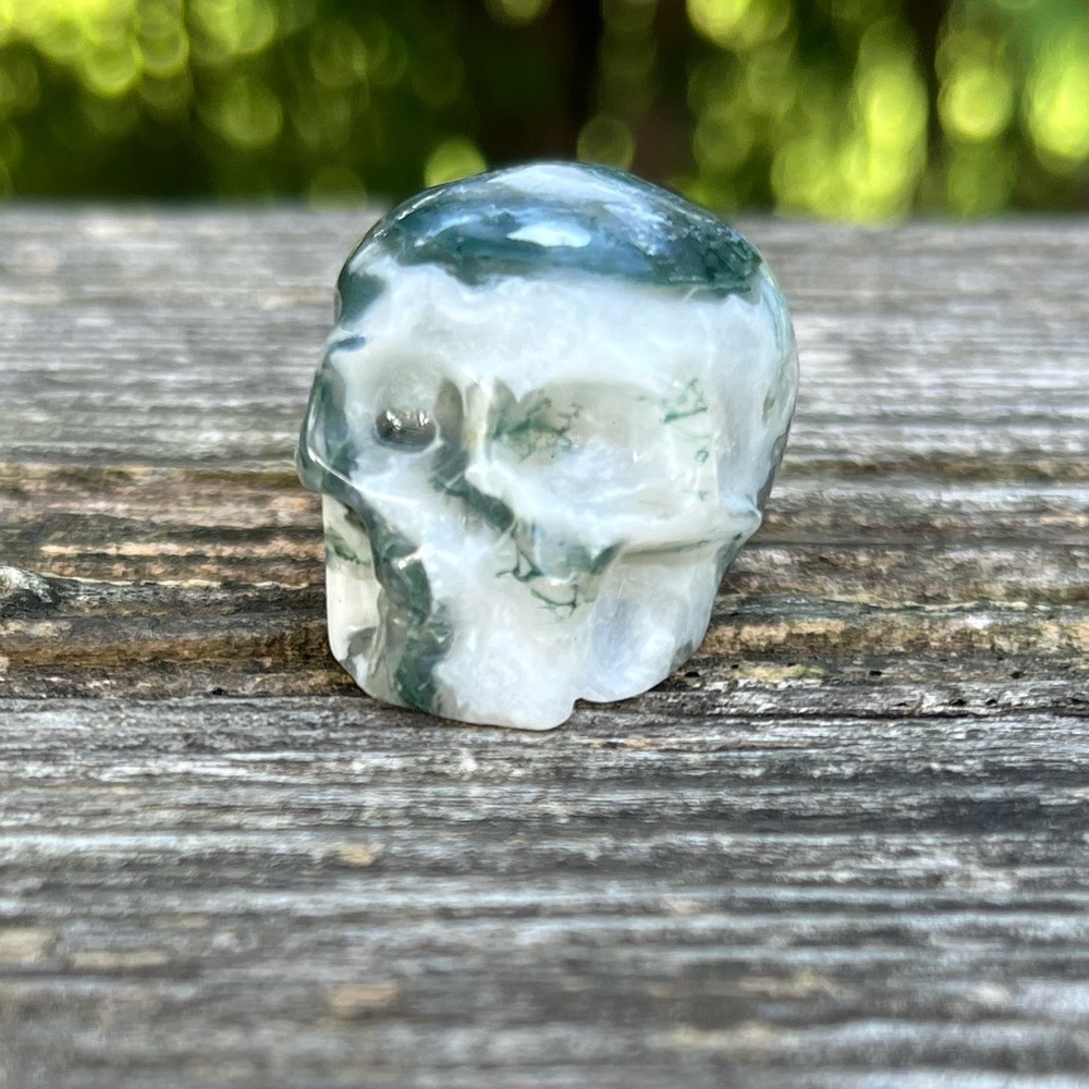 Mini Skull Carving